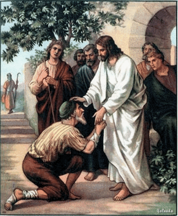 Image Image